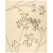 Safavieh Apica Rug - Ivory/Gray (2x3')