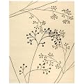 Safavieh Apica Rug Collection - Ivory and Gray