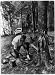 Black bass,good,catch,eat,outdoor cookery,frying,fish,Camping,Florida,FL,c1925
