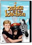 Zebra in the Kitchen