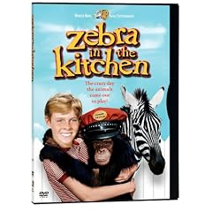 Zebra in the Kitchen
