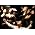Thumbnail image of Glee Cast
