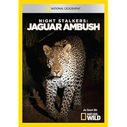 Night Stalkers: Jaguar Ambush