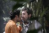 Image de Jamel & le cinéma : Né quelque part + Sur la piste du Marsupilami + Indigènes
