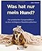  : Was hat nur mein Hund?: Ein praktischer Symptomführer zu den wichtigsten Hundekrankheiten