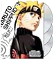 Naruto Shippuden: Box Set 1