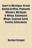 Sport in Michigan: Grand Rapids Griffins, Plymouth Whalers, Michigan K-Wings, Kalamazoo Wings, Saginaw Spirit, Pontiac Silverdome-