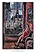 Didier Lourenco - La Vie en Rose Size 27.5x39.375 - Didier Louren?o Art Print Poster - 27.5 x 39.38