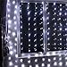 Led String Curtain Lights, Leaf 300led 9.8foot 8modes Linkable - White