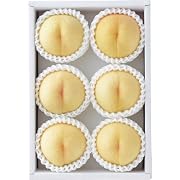 岡山県産　白桃 / 2013年 お中元 好適品