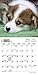 Welsh Corgi Puppies 2016 Calendar: 18- Month Calendar