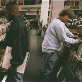 Endtroducing.....