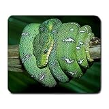 Snake Large Mousepad mouse pad Great Gift Idea