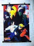 Naruto: Red Shippuden Group (small) 33x46cm Wallscroll
