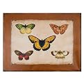 Printed Canvas Hanging With Butterflies - 31"