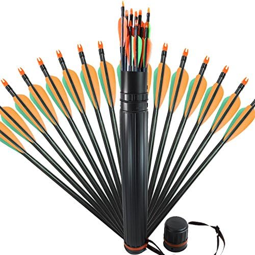 Arrows Precision Fiberglass Target/Hunting Target Practice Point for Recurve and Compound Bow with Quiver Arrow30in (Pack of 6 Arrows)