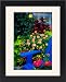 Framed Prints of Garden designs from Danita Delimont