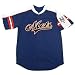 New York Mets Youth Button Down Raglan Sleeve Baseball Jersey by Stitches Athletic Gear