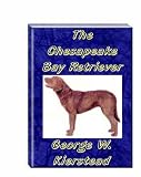 The Chesapeake Bay Retriever