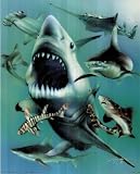 Dan McManis Sharks Art Print POSTER OOP Fish Animal NR - 16" x 20"