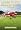 Learn To Fly Electric RC Aircraft Today