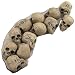 Bag of Small Skull Heads Party Decoration