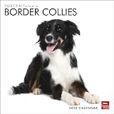 Portrait Studio - Border Collies 2012 Square 12X12 Calendar