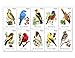 Songbirds Booklet of 20 USPS Forever Postage Stamps