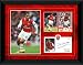 Arsenal FC Theo Walcott Framed Player Profile Photograph 16x12 (406x305mm)