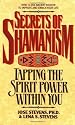 The Secrets of Shamanism: Tapping the Spirit Power within You
