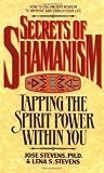 The Secrets of Shamanism: Tapping the Spirit Power within You