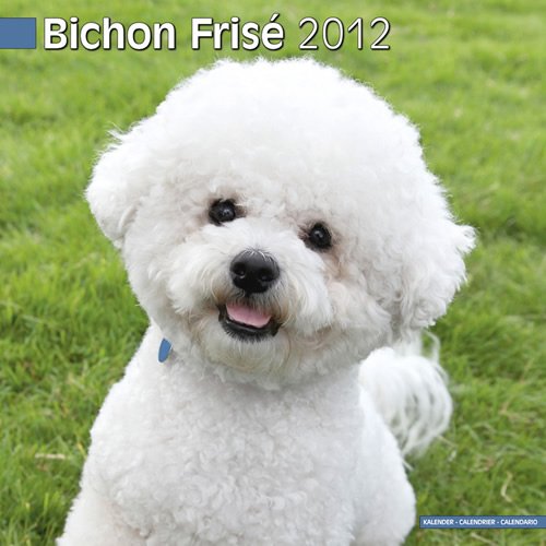 Bichon Frise 2012 Wall Calendar #10015-12
