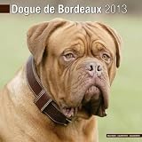 Dogue de Bordeaux 2013 Wall Calendar #10096-13