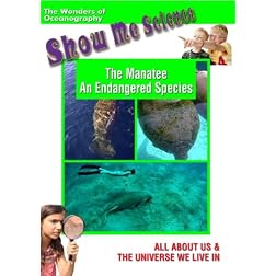 The Manatee - An Endangered Species