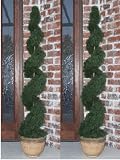 Set of Two - 4 Ft. Cedar Sprial Topiary Trees