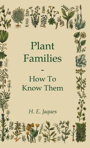 plant families how to know them