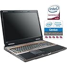Gateway LX.W430X.001 P801U 17" Notebook PC