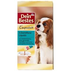 Dein Bestes Hund Darmflora, 4er Pack (4 x 125 g)