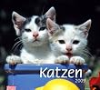 Katzen 2009