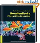 Korallenfische: Pflege und Besatzvors...