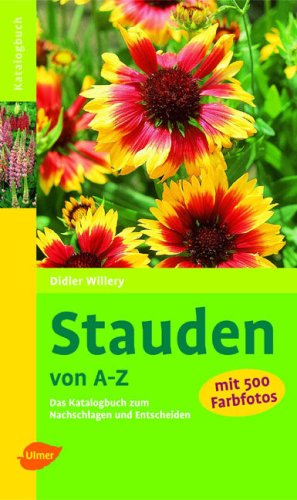 Entscheiden