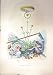 1851 Colour Plate Plant Flower Immortelle Morris