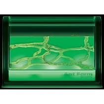 Uncle Milton Ant Farm Live Ant Habitat, Light-Up Gel Colony
