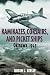 KAMIKAZES, CORSAIRS, AND PICKET SHIPS: Okinawa 1945