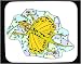 Decorated Mouse Pad with draco, volans, dragon, reptile, flying, lizard