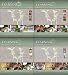 Complete Preschool Lesson Plans (Volumes 1-4)