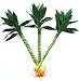 Betterdecor - 3 Pieces of Lotus Lucky Bamboo