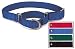 Kitchen & Housewares : Premier Nylon Collar 1 in. - Large - Green