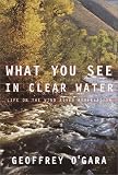 What You See in Clear Water: Life On the Wind River Reservation