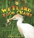 Wetland Food Chains